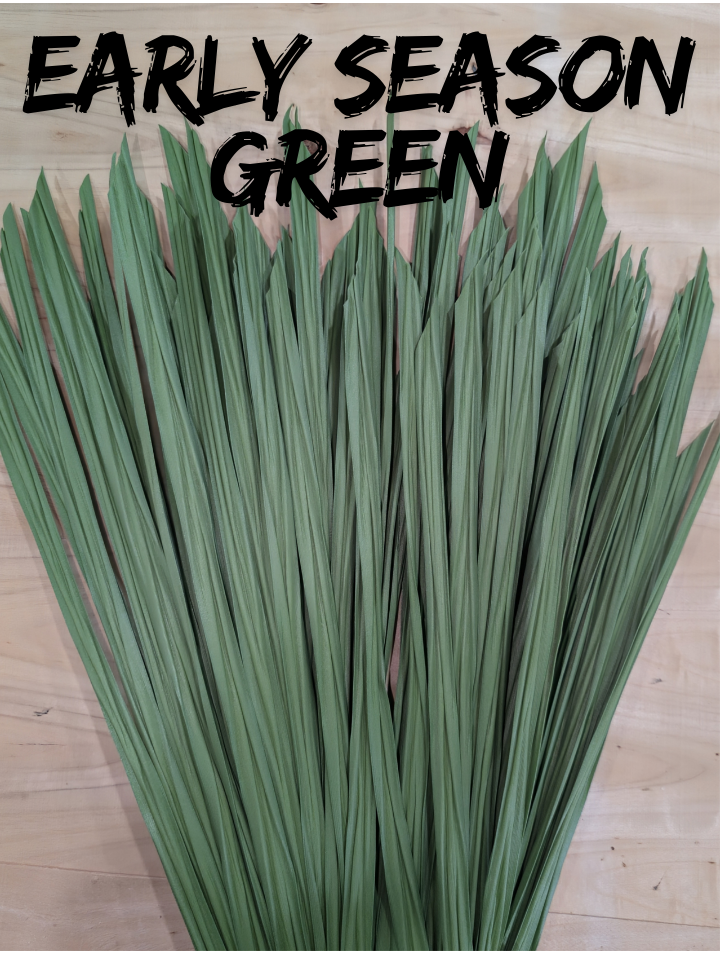 Last Grass