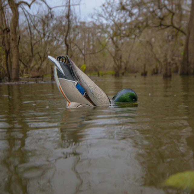 Flyway Deputy - Mallard Drake Motion Duck Decoy