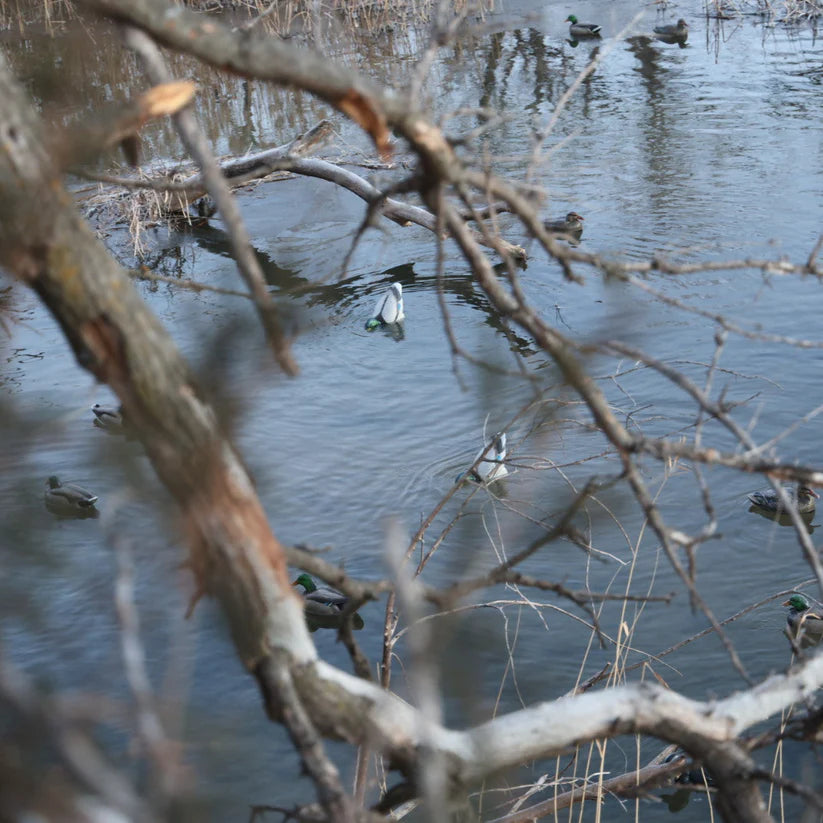 Flyway Deputy - Mallard Drake Motion Duck Decoy