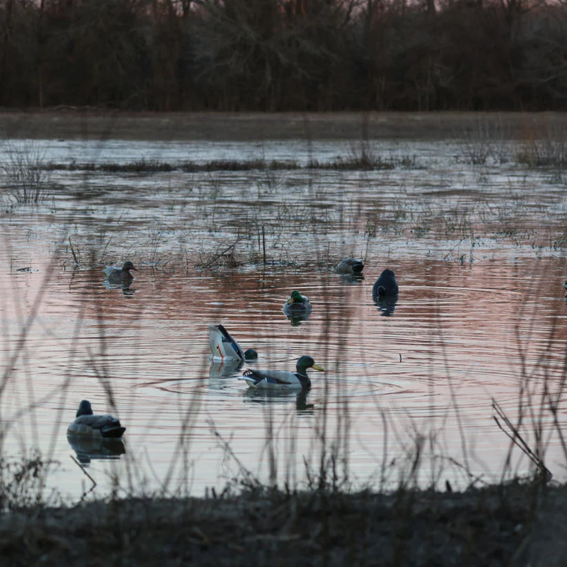 Flyway Deputy - Mallard Drake Motion Duck Decoy